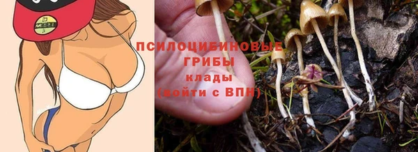 spice Краснотурьинск